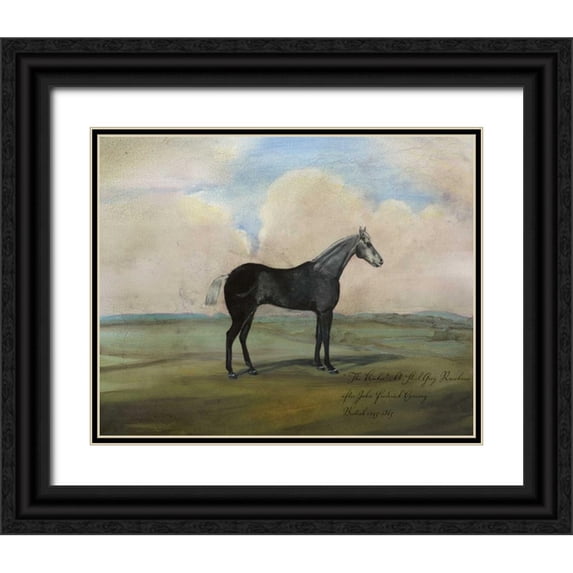 McCavitt, Naomi 14x12 Black Ornate Wood Framed with Double Matting Museum Art Print Titled - The Kicker- A Steel Grey Racehorse