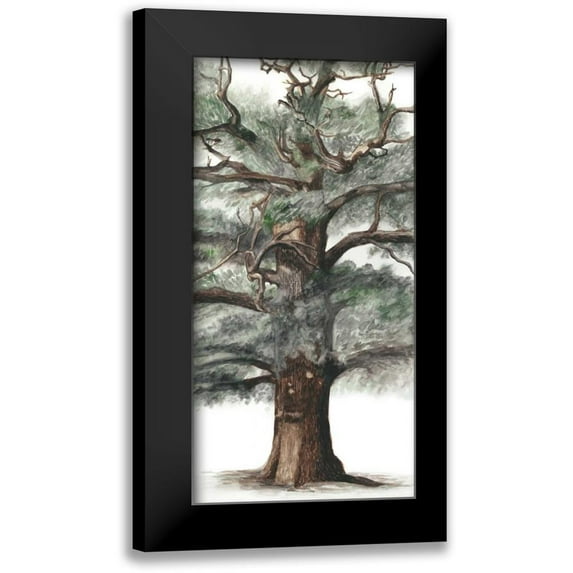 McCavitt, Naomi 14x24 Black Modern Framed Museum Art Print Titled - Oak Tree Composition I