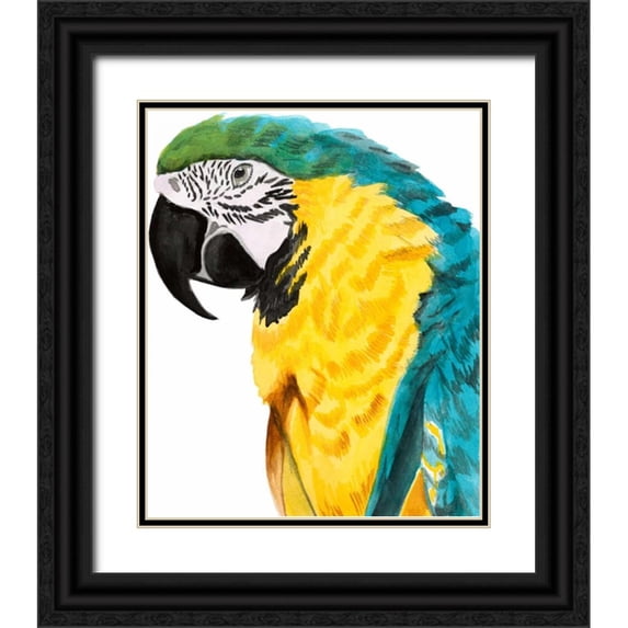 McCavitt, Naomi 15x17 Black Ornate Wood Framed with Double Matting Museum Art Print Titled - Watercolor Parrot