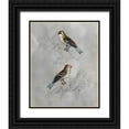 thumbnail image 1 of McCavitt, Naomi 15x18 Black Ornate Wood Framed with Double Matting Museum Art Print Titled - Silvered Aviary II, 1 of 4