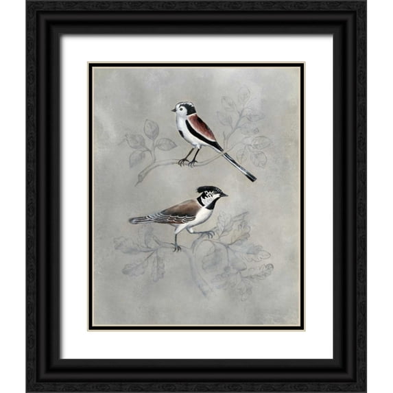 McCavitt, Naomi 15x18 Black Ornate Wood Framed with Double Matting Museum Art Print Titled - Silvered Aviary IV