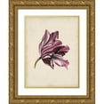 thumbnail image 1 of McCavitt, Naomi 15x18 Gold Ornate Wood Framed with Double Matting Museum Art Print Titled - Antique Tulip Study III, 1 of 4