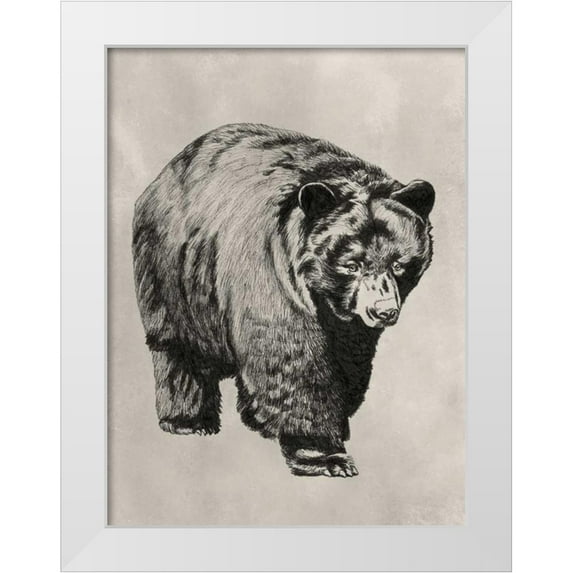 McCavitt, Naomi 15x18 White Modern Wood Framed Museum Art Print Titled - Pen and Ink Bear I
