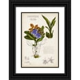 thumbnail image 1 of McCavitt, Naomi 17x24 Black Ornate Wood Framed with Double Matting Museum Art Print Titled - Orchid Field Notes II, 1 of 4