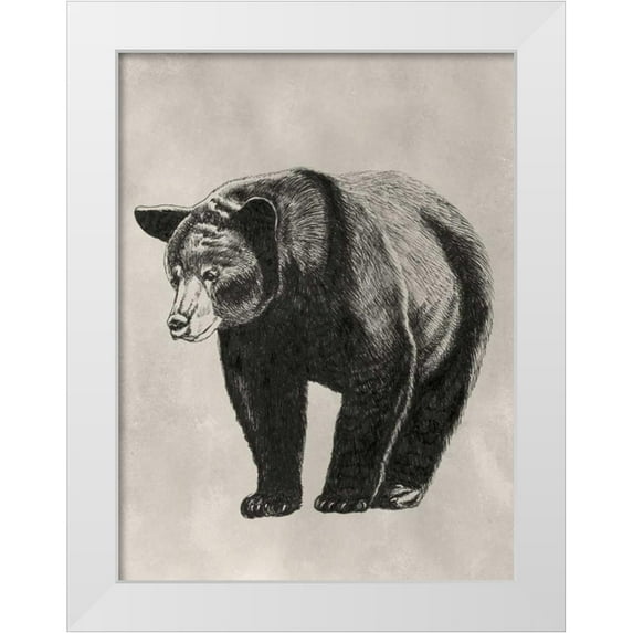 McCavitt, Naomi 19x24 White Modern Wood Framed Museum Art Print Titled - Pen and Ink Bear II