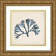 thumbnail image 1 of McCavitt, Naomi 20x20 Gold Ornate Wood Framed with Double Matting Museum Art Print Titled - Seaweed Specimens XI, 1 of 4