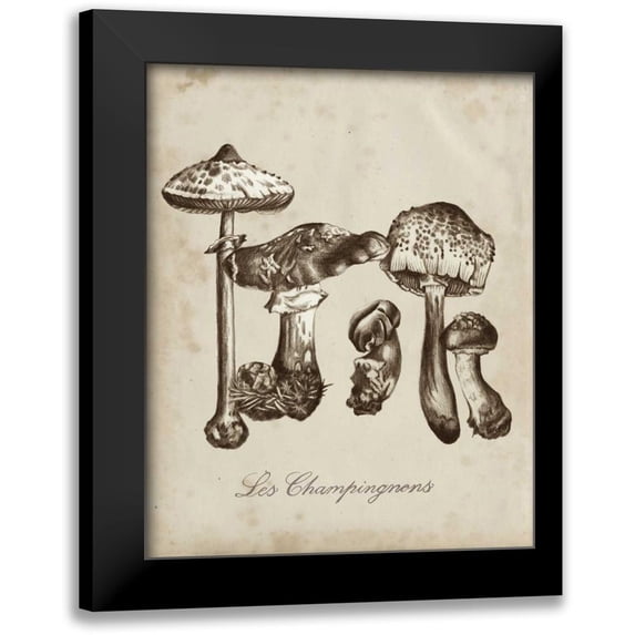 McCavitt, Naomi 20x24 Black Modern Framed Museum Art Print Titled - Les Champignons II