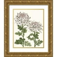 thumbnail image 1 of McCavitt, Naomi 20x24 Gold Ornate Wood Framed with Double Matting Museum Art Print Titled - Early Spring Chrysanthemums II, 1 of 4