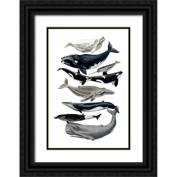McCavitt, Naomi 23x32 Black Ornate Wood Framed with Double Matting Museum Art Print Titled - Whale Display I