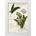 thumbnail image 1 of McCavitt, Naomi 23x32 White Modern Wood Framed Museum Art Print Titled - Orchid Field Notes I, 1 of 4