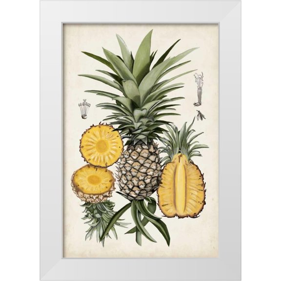 McCavitt, Naomi 23x32 White Modern Wood Framed Museum Art Print Titled - Pineapple Botanical Study I
