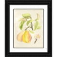 thumbnail image 1 of McCavitt, Naomi 25x32 Black Ornate Wood Framed with Double Matting Museum Art Print Titled - Custom Watercolor Fruit III (ASH), 1 of 4