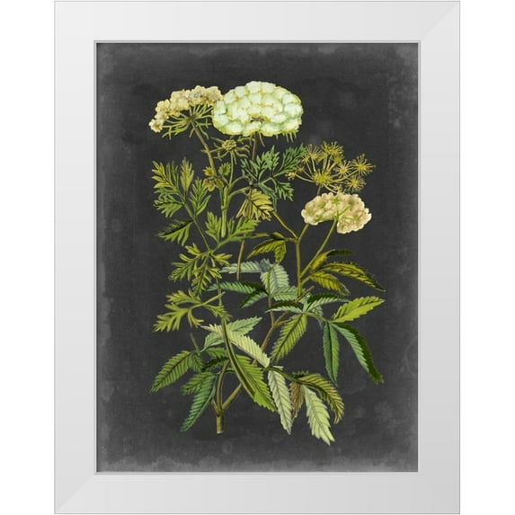 McCavitt, Naomi 25x32 White Modern Wood Framed Museum Art Print Titled - Bookplate Floral I