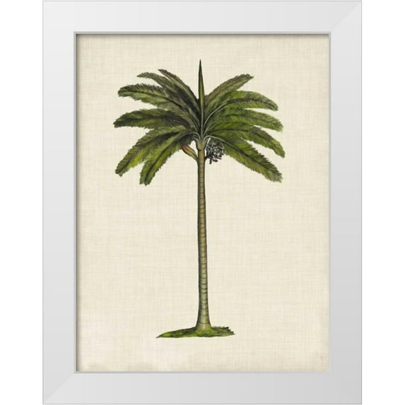 McCavitt, Naomi 25x32 White Modern Wood Framed Museum Art Print Titled - British Palms IV