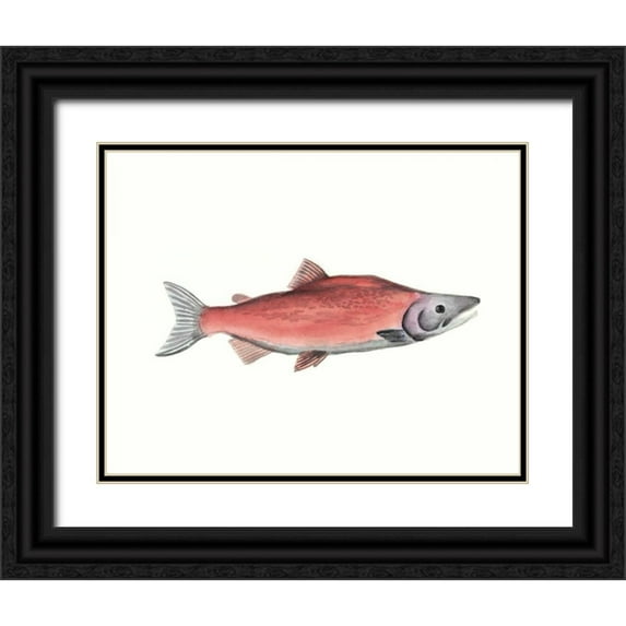 McCavitt, Naomi 32x26 Black Ornate Wood Framed with Double Matting Museum Art Print Titled - Watercolor Deep Sea Fish III