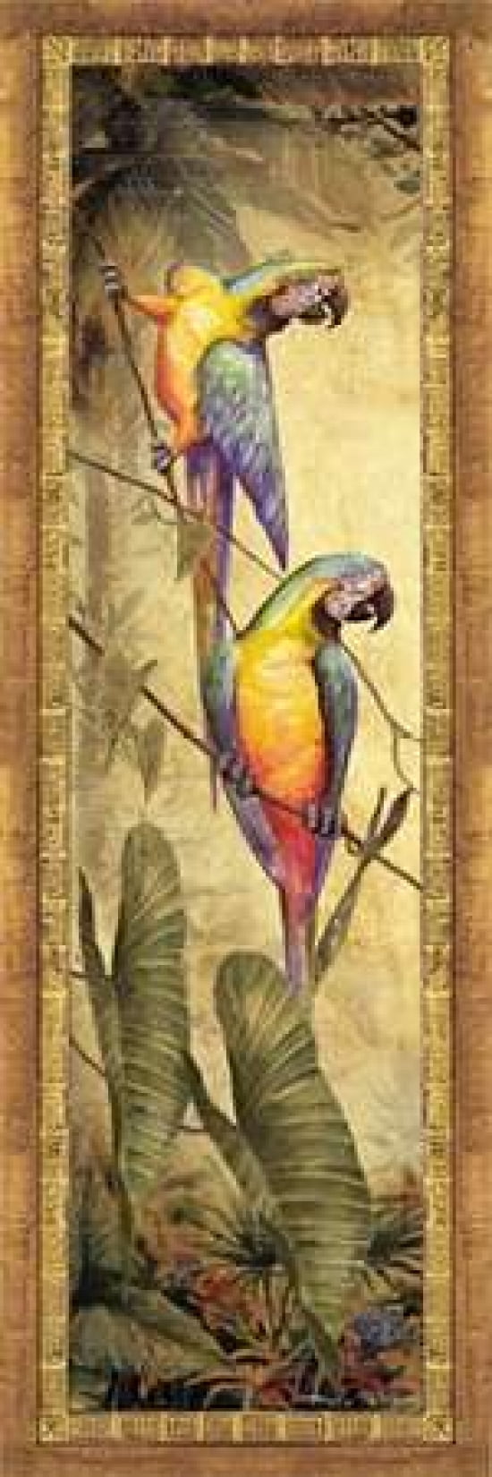 McCaw I Canvas Art - Steve Butler (12 x 36)
