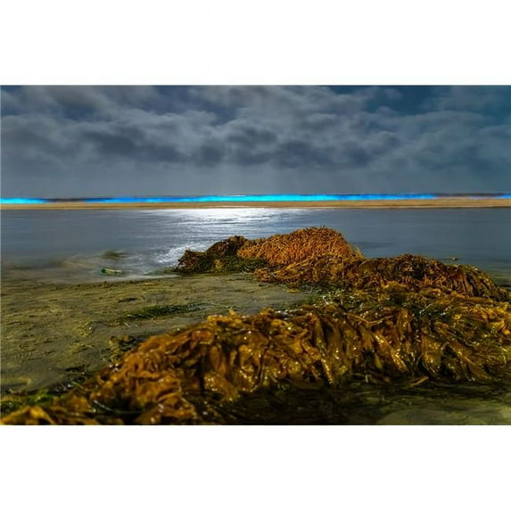 McClean 3103980 36 x 24 in. La Jolla Shores Bio Luminescence Three Fine Print Wall Art