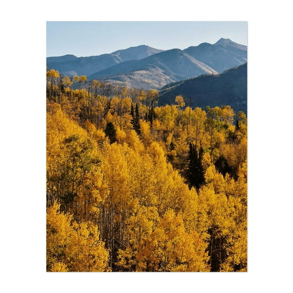 McClure Pass III - Colorado Photography Autumn Forest Nature Landscape Mountain Scenic Wilderness Unframed Wall Art Print 9 x 12 inches