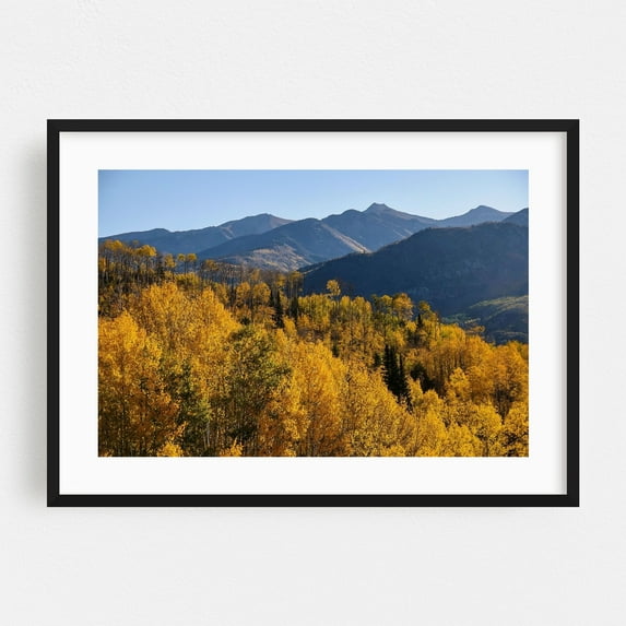 McClure Pass V - Telluride Colorado Photography Autumn Nature Mountain Landscape Forest Scenic Wilderness Black Framed Wall Art Print 16 x 24 inches