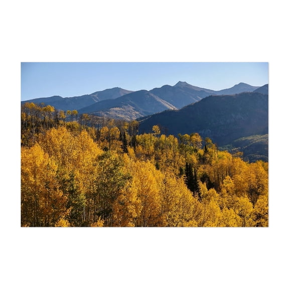 McClure Pass V - Telluride Colorado Photography Autumn Nature Mountain Landscape Forest Scenic Wilderness Unframed Wall Art Print 4 x 6 inches