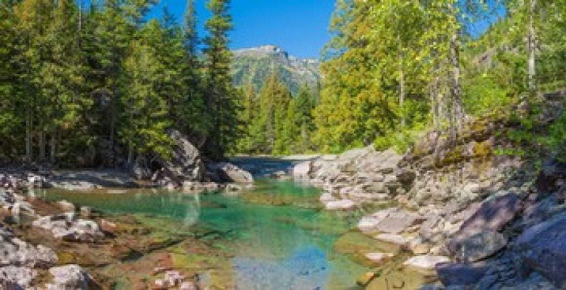 McDonald Creek along Going-to-the-Sun Road at US Glacier National Park Montana USA Canvas Art - Panoramic Images (24 x 12)