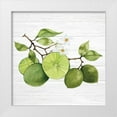 thumbnail image 1 of McKenna, Kathleen Parr 15x15 White Modern Wood Framed Museum Art Print Titled - Citrus Garden VII Shiplap, 1 of 4