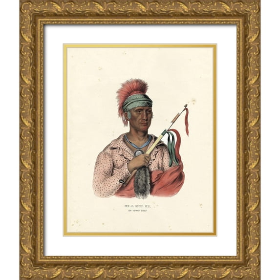 McKenney and Hall 15x18 Gold Ornate Wood Framed with Double Matting Museum Art Print Titled - An Ioway Chief