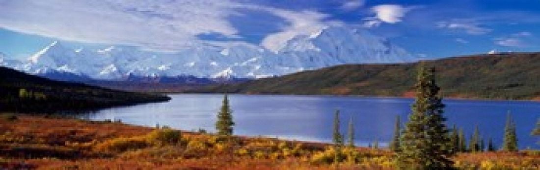 McKinley River Denali National Park AK Canvas Art - Panoramic Images (38 x 12)