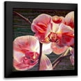 thumbnail image 1 of McLaughlin, Jan 20x20 Black Modern Framed Museum Art Print Titled - Show Offs, 1 of 5
