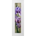 thumbnail image 1 of McLaughlin, Jan 8x24 White Modern Wood Framed Museum Art Print Titled - Iris I, 1 of 4