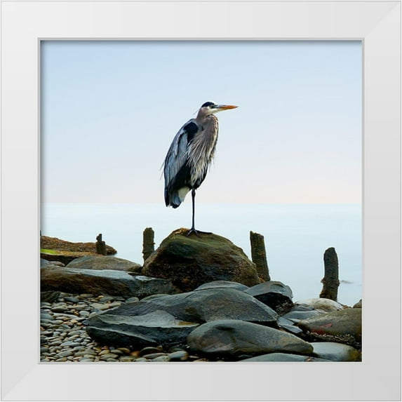 McLoughlin, James 12x12 White Modern Wood Framed Museum Art Print Titled - Beachscape Heron I