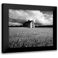 thumbnail image 1 of McLoughlin, James 14x12 Black Modern Framed Museum Art Print Titled - Flags of Our Farmers XIII, 1 of 5