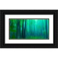 thumbnail image 1 of McLoughlin, James 14x9 Black Ornate Wood Framed with Double Matting Museum Art Print Titled - Harriman Woods III, 1 of 4