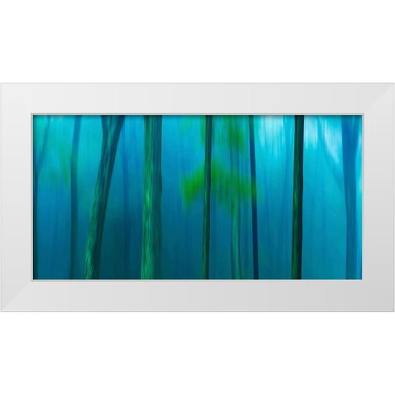 McLoughlin, James 14x9 White Modern Wood Framed Museum Art Print Titled - Harriman Woods V