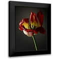 thumbnail image 1 of McLoughlin, James 15x18 Black Modern Framed Museum Art Print Titled - Studio Flowers XII, 1 of 5