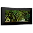 thumbnail image 1 of McLoughlin, James 18x11 Black Modern Framed Museum Art Print Titled - Canopy Road Panorama II, 1 of 5