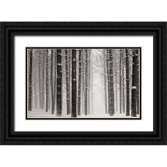 McLoughlin, James 18x13 Black Ornate Wood Framed with Double Matting Museum Art Print Titled - A Snowy Walk V