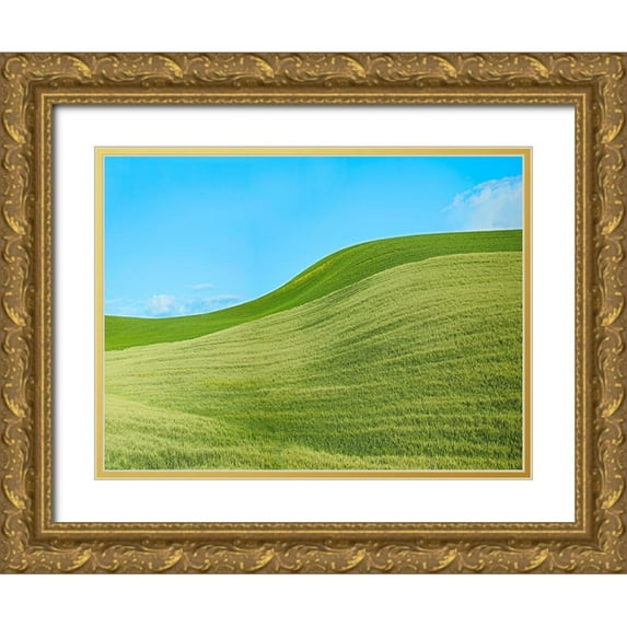 McLoughlin, James 18x15 Gold Ornate Wood Framed with Double Matting Museum Art Print Titled - Farmscape Photo IV