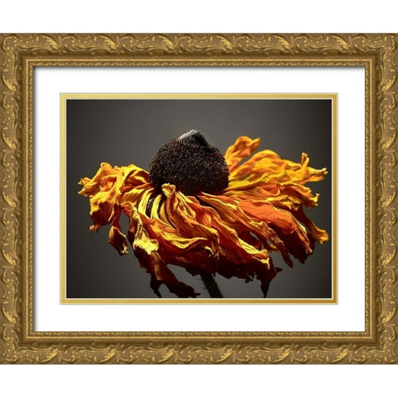 McLoughlin, James 18x15 Gold Ornate Wood Framed with Double Matting Museum Art Print Titled - Studio Flowers VIII