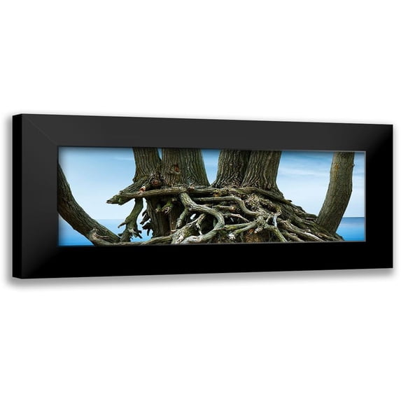 McLoughlin, James 18x9 Black Modern Framed Museum Art Print Titled - Tree Panorama VII