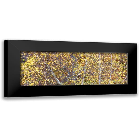 McLoughlin, James 24x11 Black Modern Framed Museum Art Print Titled - Tree Panorama III