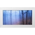 thumbnail image 1 of McLoughlin, James 24x14 White Modern Wood Framed Museum Art Print Titled - Harriman Woods VI, 1 of 4