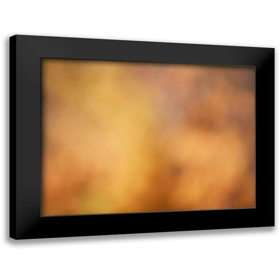 McLoughlin, James 24x19 Black Modern Framed Museum Art Print Titled - Soft Landscape V