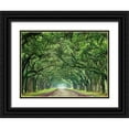 thumbnail image 1 of McLoughlin, James 24x19 Black Ornate Wood Framed with Double Matting Museum Art Print Titled - Canopy Road VI, 1 of 4