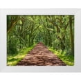 thumbnail image 1 of McLoughlin, James 24x19 White Modern Wood Framed Museum Art Print Titled - Country Road Photo IV, 1 of 4