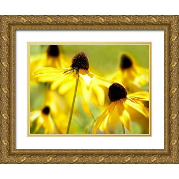 McLoughlin, James 32x25 Gold Ornate Wood Framed with Double Matting Museum Art Print Titled - Susan Study II