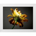 thumbnail image 1 of McLoughlin, James 32x25 White Modern Wood Framed Museum Art Print Titled - Studio Flowers III, 1 of 4