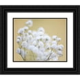 thumbnail image 1 of McLoughlin, James 32x26 Black Ornate Wood Framed with Double Matting Museum Art Print Titled - Babys Breath Study III, 1 of 4