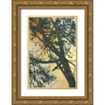 thumbnail image 1 of McMasters, James 17x24 Gold Ornate Wood Framed with Double Matting Museum Art Print Titled - Bubbly Branches, 1 of 4