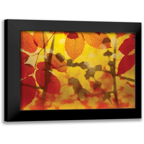 James McMasters 24x19 Black Modern Wood Framed Wall Art Titled - Golden Foliage